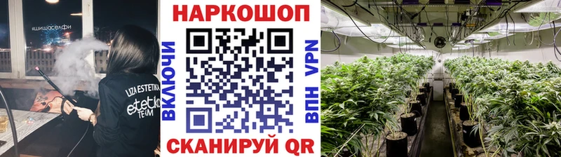 Где найти наркотики Курильск ссылка на мегу ссылка  А ПВП  ТГК  АМФ  Марихуана  Мефедрон  Гашиш 