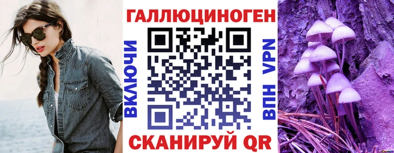 что такое наркотик  Курильск  Псилоцибиновые грибы мицелий 